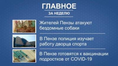 Портал PenzaInform.ru приготовил дайджест главных новостей недели - penzainform.ru - Пенза