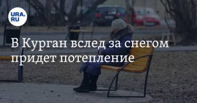 В Курган вслед за снегом придет потепление - ura.news