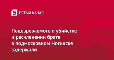 Ольга Врадий - Подозреваемого в убийстве и расчленении брата в подмосковном Ногинске задержали - 5-tv.ru - Россия - Московская обл. - Ногинск - Московская область