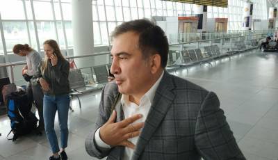 Михаил Саакашвили - Саакашвили въехал в Грузию в вентиляционной кабине трейлера по перевозке зелени – СМИ - sharij.net - Украина - Грузия - Тбилиси