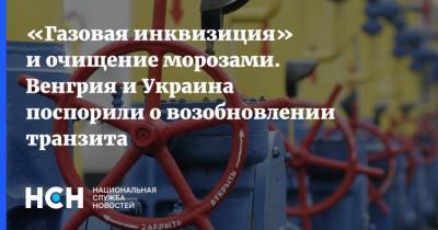 «Газовая инквизиция» и очищение морозами. Венгрия и Украина поспорили о возобновлении транзита - nsn.fm - Украина - Киев - Венгрия
