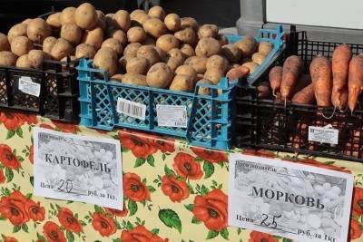 На ярмарке выходного дня брянцы купили более 100 тонн продуктов - mk.ru - Брянск - Брянская обл.