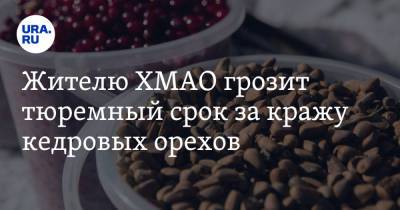 Жителю ХМАО грозит тюремный срок за кражу кедровых орехов - ura.news - Россия - Ханты-Мансийск - Югра