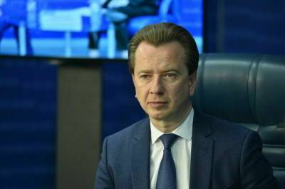 Владимир Бурматов - Павел Крашенинников - За организацию собачьих боёв предлагают ввести штраф до 400 тысяч рублей - pnp.ru - Россия