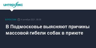 В Подмосковье выясняют причины массовой гибели собак в приюте - interfax.ru - Москва - Московская обл.