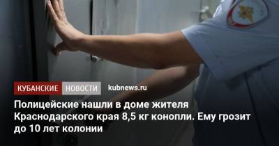 Полицейские нашли в доме жителя Краснодарского края 8,5 кг конопли. Ему грозит до 10 лет колонии - kubnews.ru - Россия - Краснодарский край