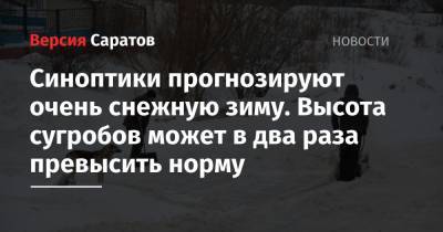 Синоптики прогнозируют очень снежную зиму. Высота сугробов может в два раза превысить норму - nversia.ru - Москва - Россия - Челябинская обл.