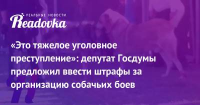 Владимир Бурматов - «Это тяжелое уголовное преступление»: депутат Госдумы предложил ввести штрафы за организацию собачьих боев - readovka.news - Россия - Ставрополье