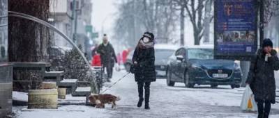 Северное полушарие ждет очень суровая зима, которая может вызвать хаос на энергорынке, — Bloomberg - w-n.com.ua