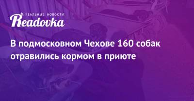 В подмосковном Чехове 160 собак отравились кормом в приюте - readovka.news