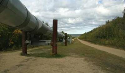 Сергей Макогон - В Украине подтвердили прекращение транзита российского газа в Венгрию - newizv.ru - Украина - Венгрия
