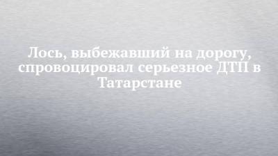 Лось, выбежавший на дорогу, спровоцировал серьезное ДТП в Татарстане - chelny-izvest.ru - респ. Татарстан - Нижнекамск