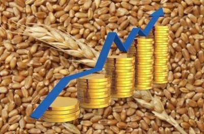 Оксана Лут - Чтобы избежать нового роста цен, Минсельхоз предложил особую квоту на экспорт пшеницы - eadaily.com