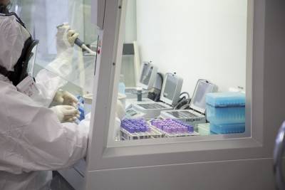 Густаво Зырянов - 3033 человека умерли от коронавируса в Новосибирской области - sib.fm - Новосибирская обл.