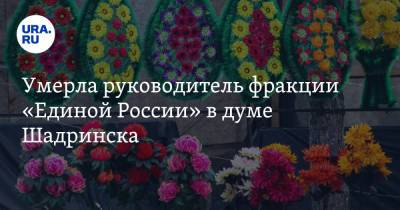 Умерла руководитель фракции «Единой России» в думе Шадринска - ura.news - Россия - Курганская обл. - район Шадринский - Шадринск