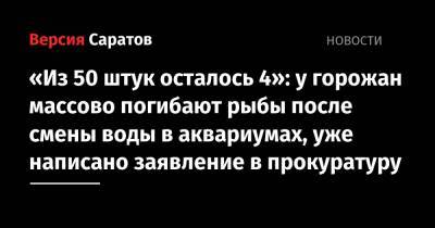 «Из 50 штук осталось 4»: у заводчиков массово погибают рыбы после смены воды в аквариумах, в прокуратуру написана коллективная жалоба - nversia.ru