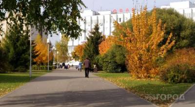 В Чувашию придет вторая "золотая осень" с солнцем, теплом и комфортной погодой - pg21.ru - респ. Чувашия
