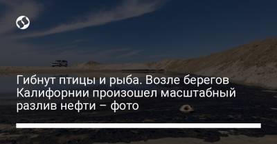 Гибнут птицы и рыба. Возле берегов Калифорнии произошел масштабный разлив нефти – фото - liga.net - Украина - шт. Калифорния - Экология