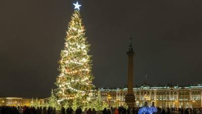 Борис Пиотровский - Большинство петербуржцев выбрали настоящую новогоднюю ёлку на Дворцовой - dp.ru - Санкт-Петербург