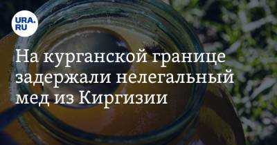 На курганской границе задержали нелегальный мед из Киргизии - ura.news - Россия - Челябинская обл. - Киргизия - Курганская обл.