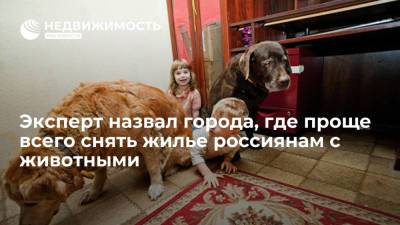 Эксперт назвал города, где проще всего снять жилье россиянам с животными - realty.ria.ru - Москва - Санкт-Петербург - Воронеж - Новосибирск - Нижний Новгород - Омск