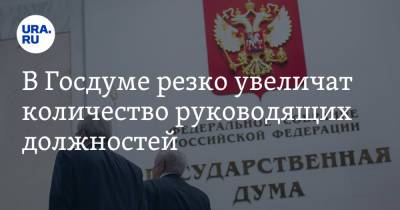 В Госдуме резко увеличат количество руководящих должностей - ura.news - Россия