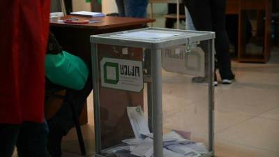 Михаил Саакашвили - Ника Мелия - В Грузии прошёл первый тур местных выборов - anna-news.info - Грузия - Тбилиси