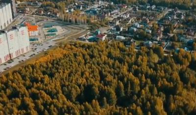 В Восточном округе Тюмени может появиться большой парк на 6 га - nashgorod.ru - Тюмень