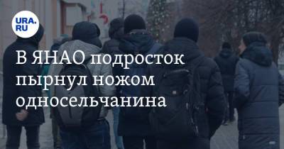 В ЯНАО подросток пырнул ножом односельчанина - ura.news - окр. Янао - район Тазовский