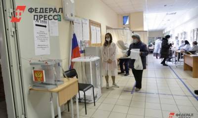 Элла Памфилова - ЦИК: большинство обращений по вопросам выборов рассматривается в регионах - fedpress.ru - Москва