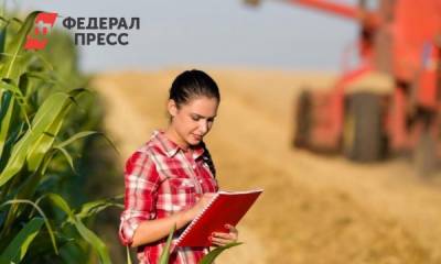 Тюменские власти признали, что собрать много зерна не получится - fedpress.ru - Тюмень - Тюменская обл.