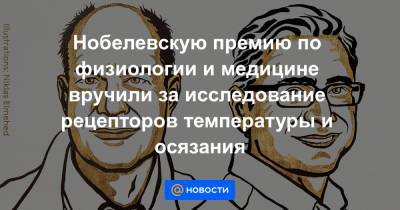 Нобелевскую премию по физиологии и медицине вручили за исследование рецепторов температуры и осязания - news.mail.ru - Норвегия