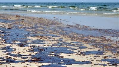 «Одна из самых разрушительных» утечек нефти в Тихий океан произошла по вине США - 5-tv.ru - США - шт. Калифорния