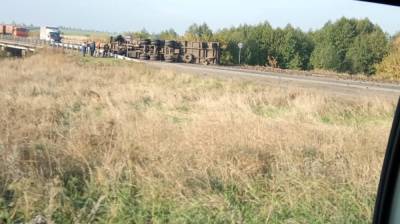 На трассе в Воронежской области перевернулась гружённая свёклой фура - vestivrn.ru - Воронежская обл. - Ростовская обл. - Пермский край - Камаз