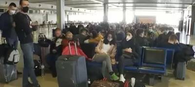 Получают до 130 тысяч в месяц: Заробитчане променяли Польшу на новую страну - w-n.com.ua - Германия - Польша