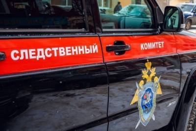 В Чувашии мать задушила 3-летнюю дочь из мести мужу - cheb.mk.ru - респ. Чувашия