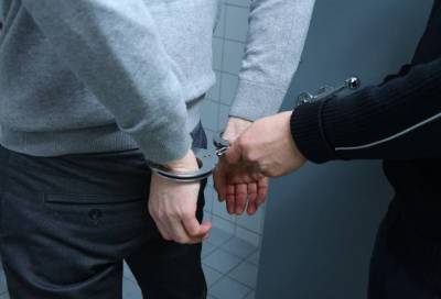 Жестоко убивший в Буграх своих мать и сестру мужчина заключён под стражу - online47.ru - Россия - Ленинградская обл. - Всеволожск - территория Рф