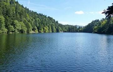Во Франции - Во Франции будут очищать водоемы и почву от мазута необычным способом - charter97.org - Белоруссия - Франция