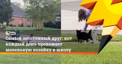 Самый заботливый друг: кот каждый день провожает маленькую хозяйку в школу - ridus.ru