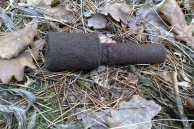 Ручная граната РГД была обезврежена в Смоленском районе - mk-smolensk.ru - район Смоленский