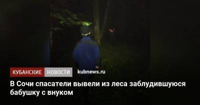 В Сочи спасатели вывели из леса заблудившуюся бабушку с внуком - kubnews.ru - Россия - Сочи - Краснодарский край