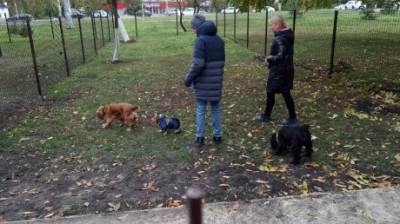 На улице Карпинского в Пензе открылась зона для выгула собак - penzainform.ru - Пенза