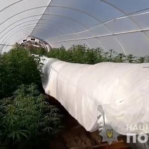 У жителя Запорожской области изъяли наркотики на сумму более 3 миллионов гривен. Фото. Видео - reporter-ua.com - Запорожская обл.