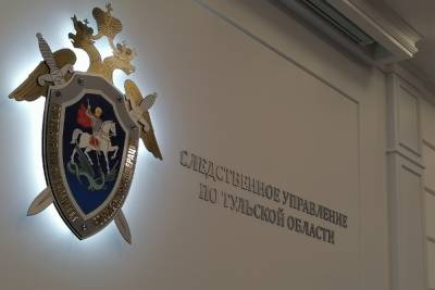 Следователи выясняют, почему под Тулой к ребенку 6 дней не ехал врач - tula.mk.ru - Тула - Тульская обл.