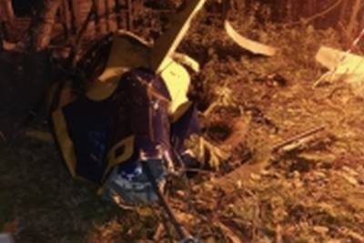 СК провел задержание по делу о крушении вертолета в Подмосковье - mk.ru - Россия - Московская обл.