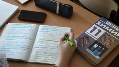В Федеральном институте оценки качества образования высказались о нагрузках в школе - russian.rt.com