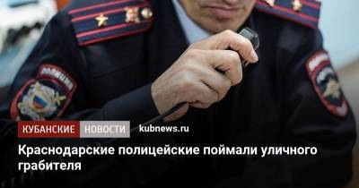 Краснодарские полицейские поймали уличного грабителя - kubnews.ru - Россия - Краснодарский край - Краснодар - респ. Адыгея