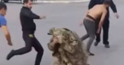 На Волині четверо хуліганів побили військового, а згодом навколішках просили вибачення (відео) - 24tv.ua