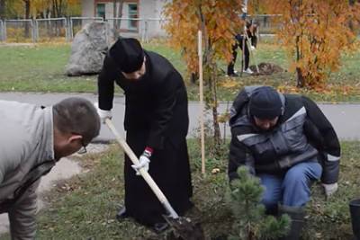 В Чебоксарах высадили кедровую аллею - lenta.ru - Краснодар - респ. Чувашия - Ростов-На-Дону - Чебоксары