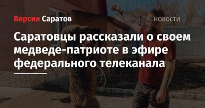 Саратовцы рассказали о своем медведе-патриоте в эфире федерального телеканала - nversia.ru